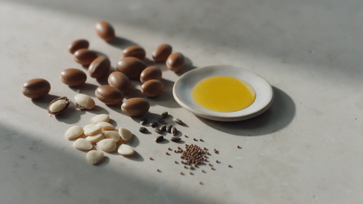 Argan meyveleri, kayısı çekirdekleri, üzüm çekirdekleri, havuç tohumu ve bir kapta altın renkli yağ